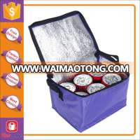 Exclusive wholesale 6 pack cooler bag